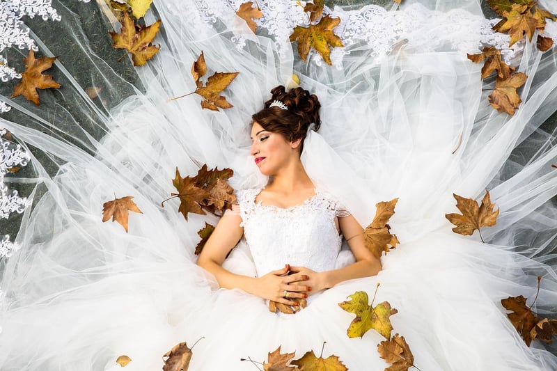 Fairytale Ball Gown